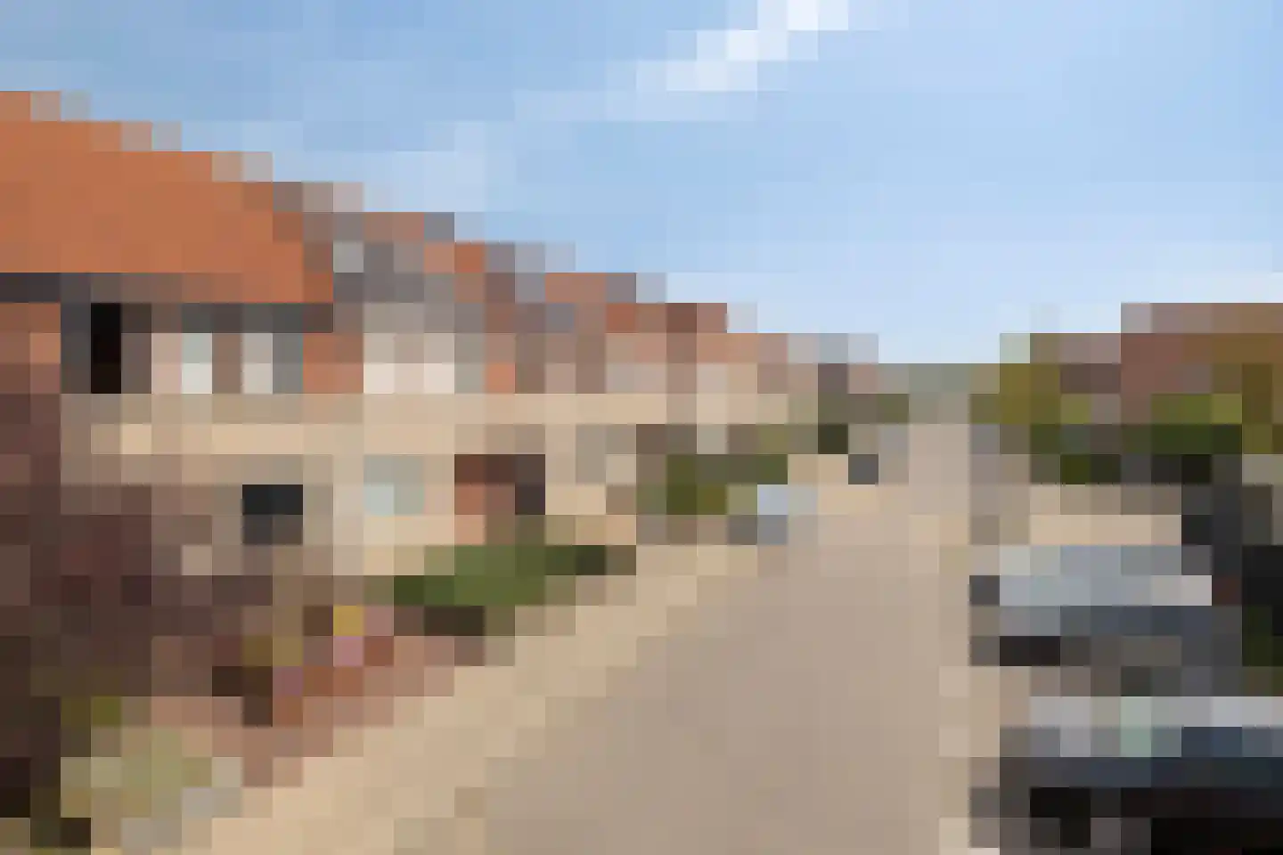 Grauwe Gans 62 Bergen op Zoom thumbnail 32