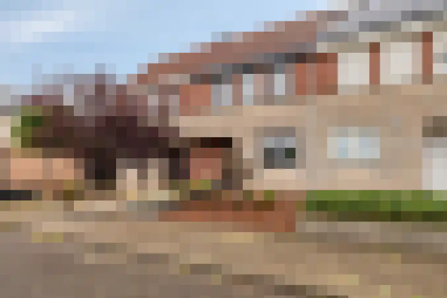 Grauwe Gans 62 Bergen op Zoom thumbnail 33