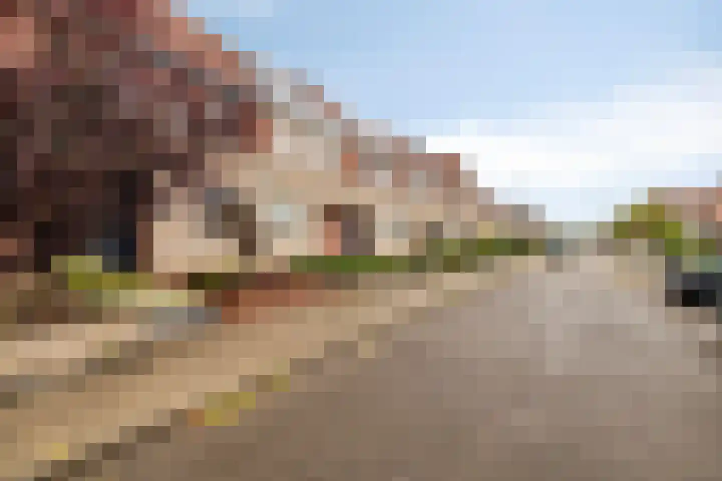 Grauwe Gans 62 Bergen op Zoom thumbnail 34