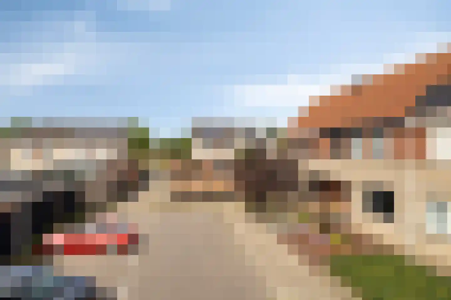 Grauwe Gans 62 Bergen op Zoom thumbnail 35
