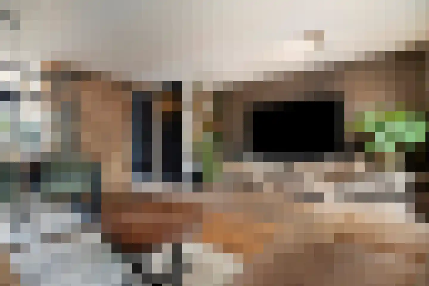 Grauwe Gans 62 Bergen op Zoom thumbnail 8