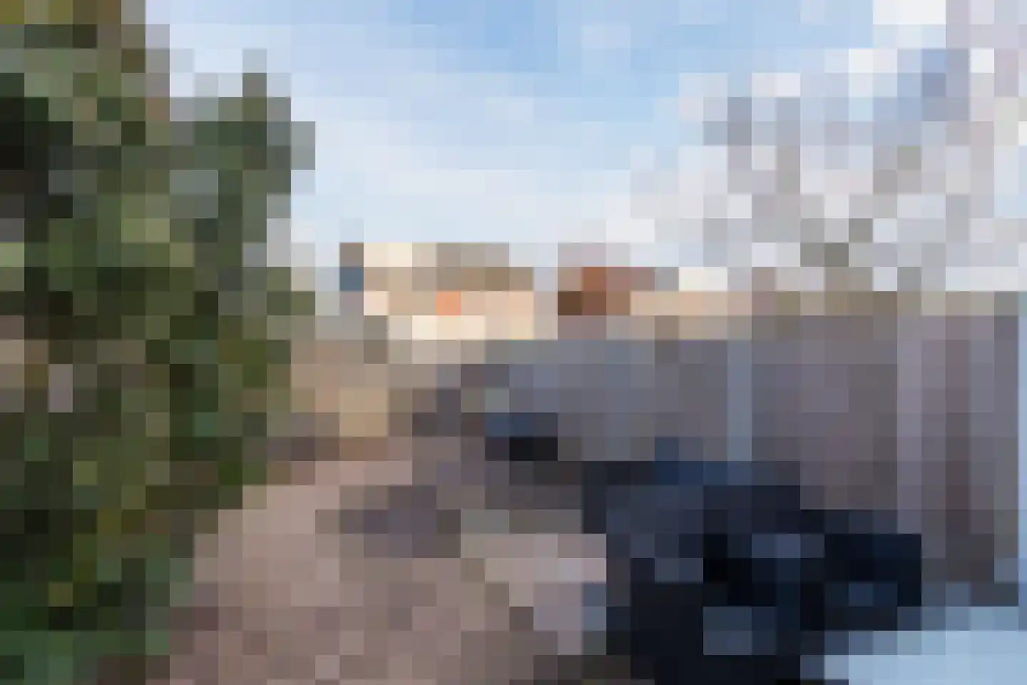 Grauwe Gans 64 Bergen op Zoom thumbnail 31