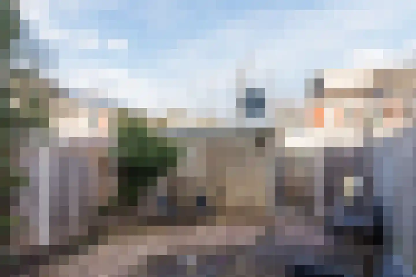 Grauwe Gans 64 Bergen op Zoom thumbnail 32
