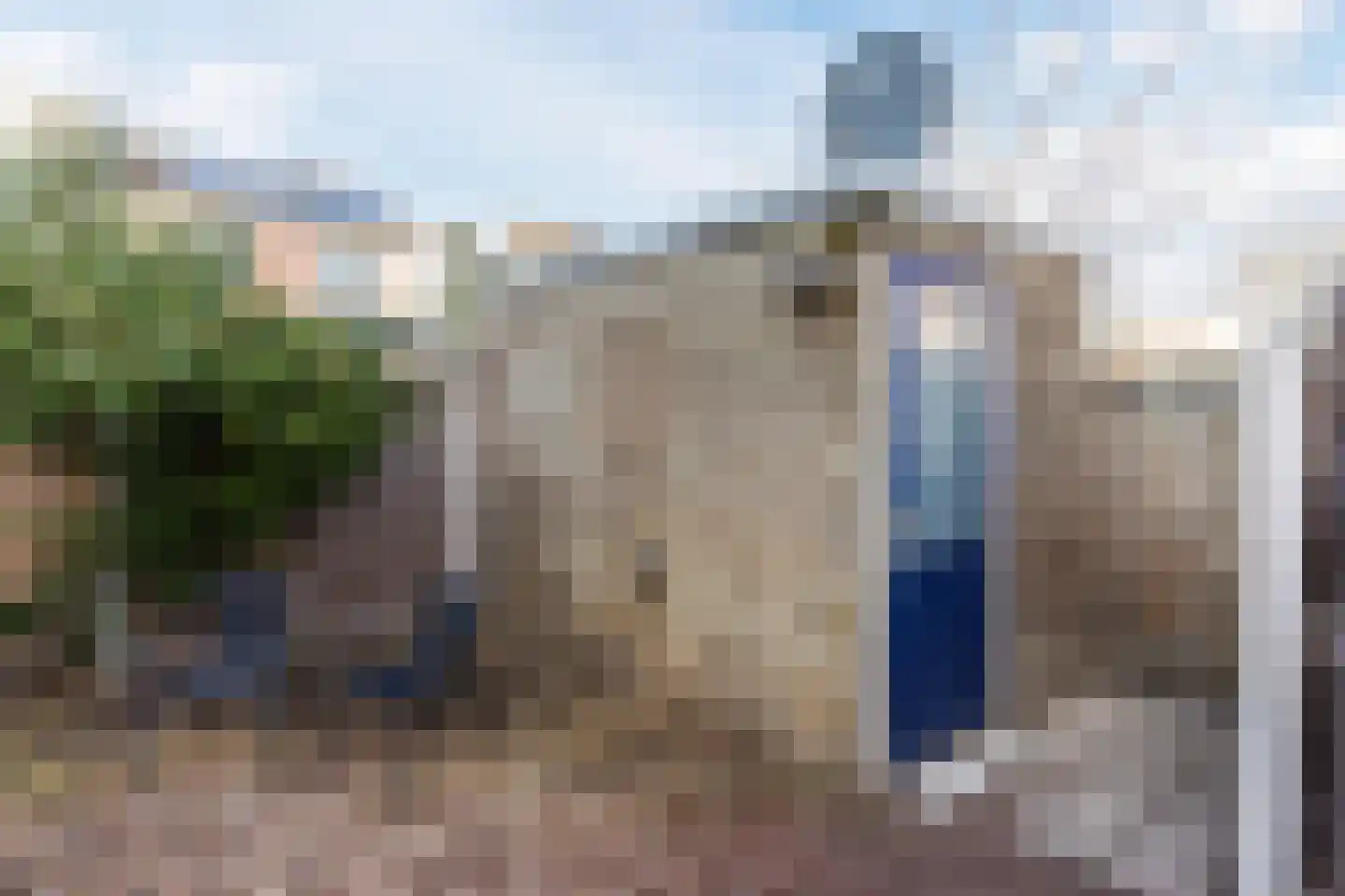 Grauwe Gans 64 Bergen op Zoom thumbnail 33