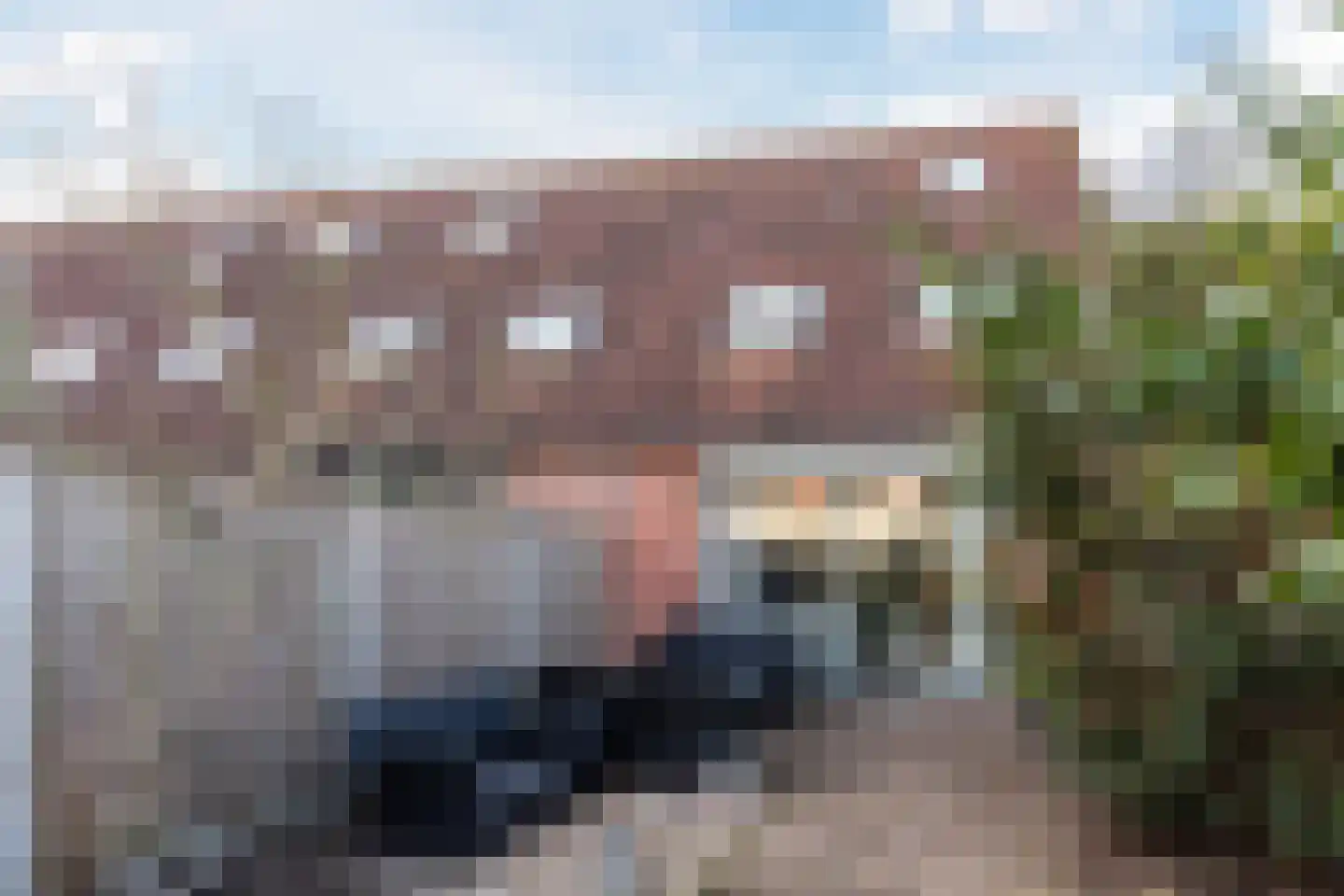 Grauwe Gans 64 Bergen op Zoom thumbnail 34