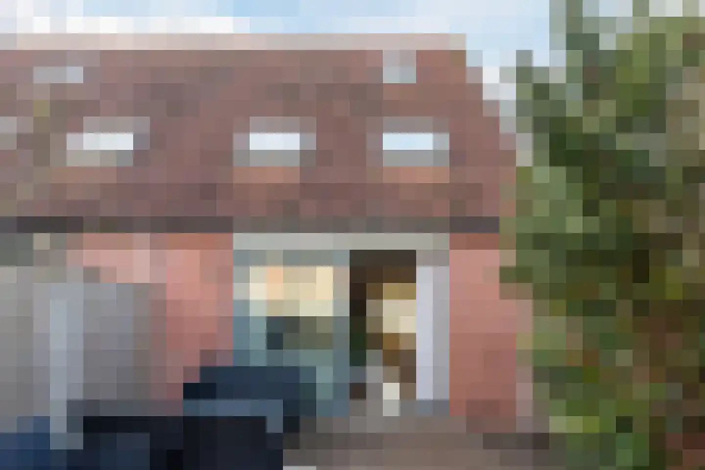 Grauwe Gans 64 Bergen op Zoom thumbnail 35