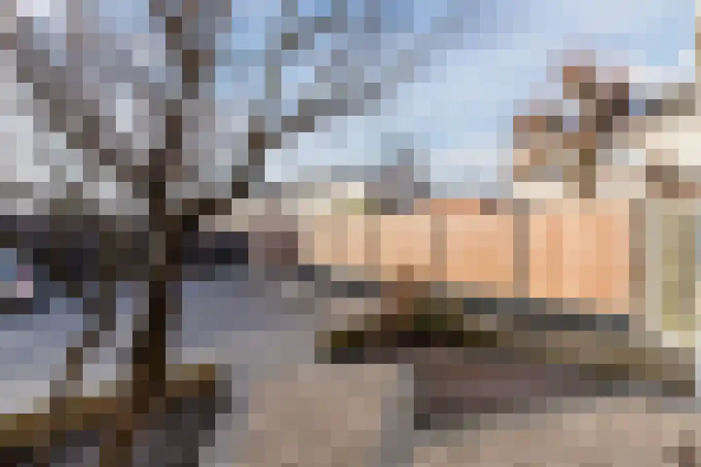 Grauwe Gans 64 Bergen op Zoom thumbnail 36