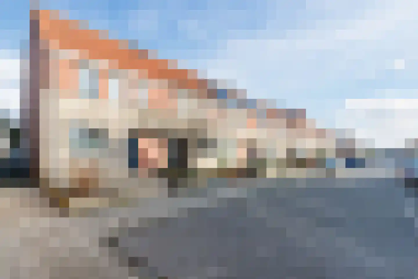 Grauwe Gans 64 Bergen op Zoom thumbnail 37