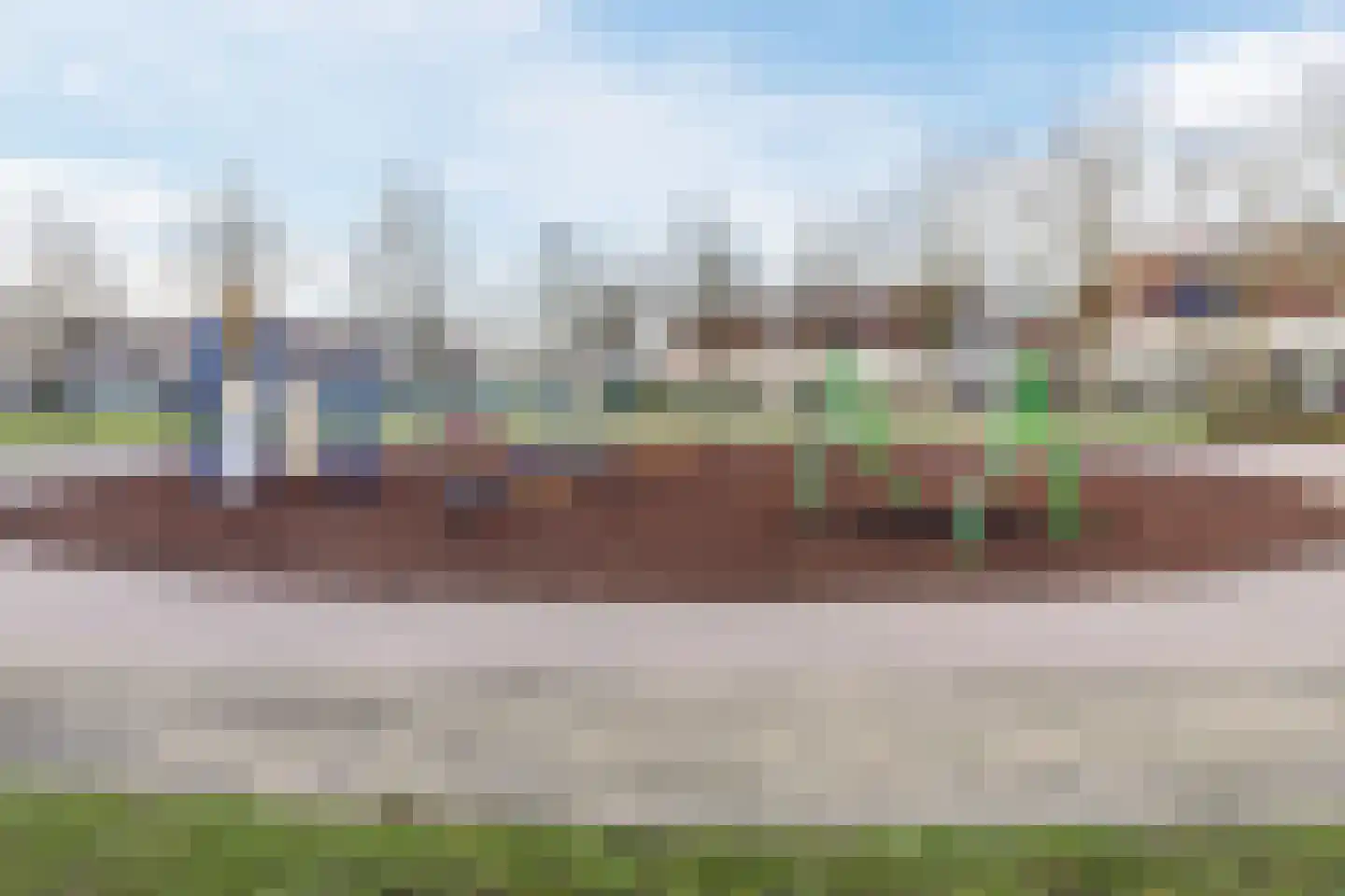 Grauwe Gans 64 Bergen op Zoom thumbnail 38