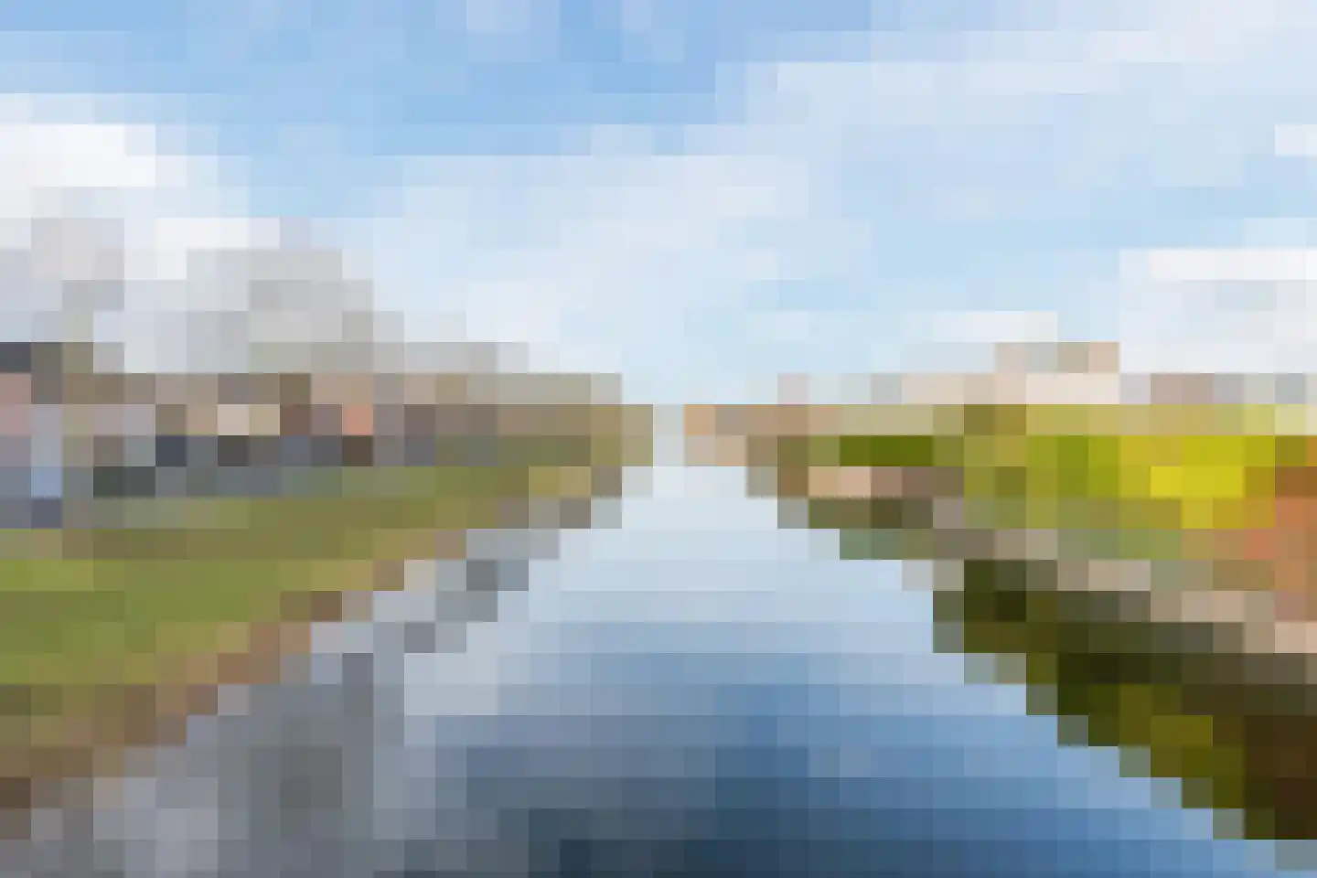 Grauwe Gans 64 Bergen op Zoom thumbnail 39