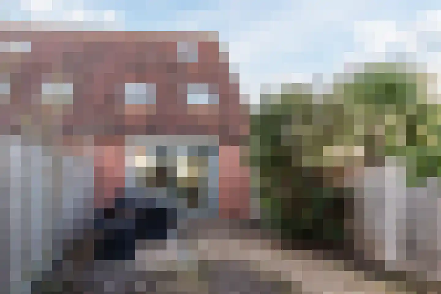Grauwe Gans 64 Bergen op Zoom thumbnail 5
