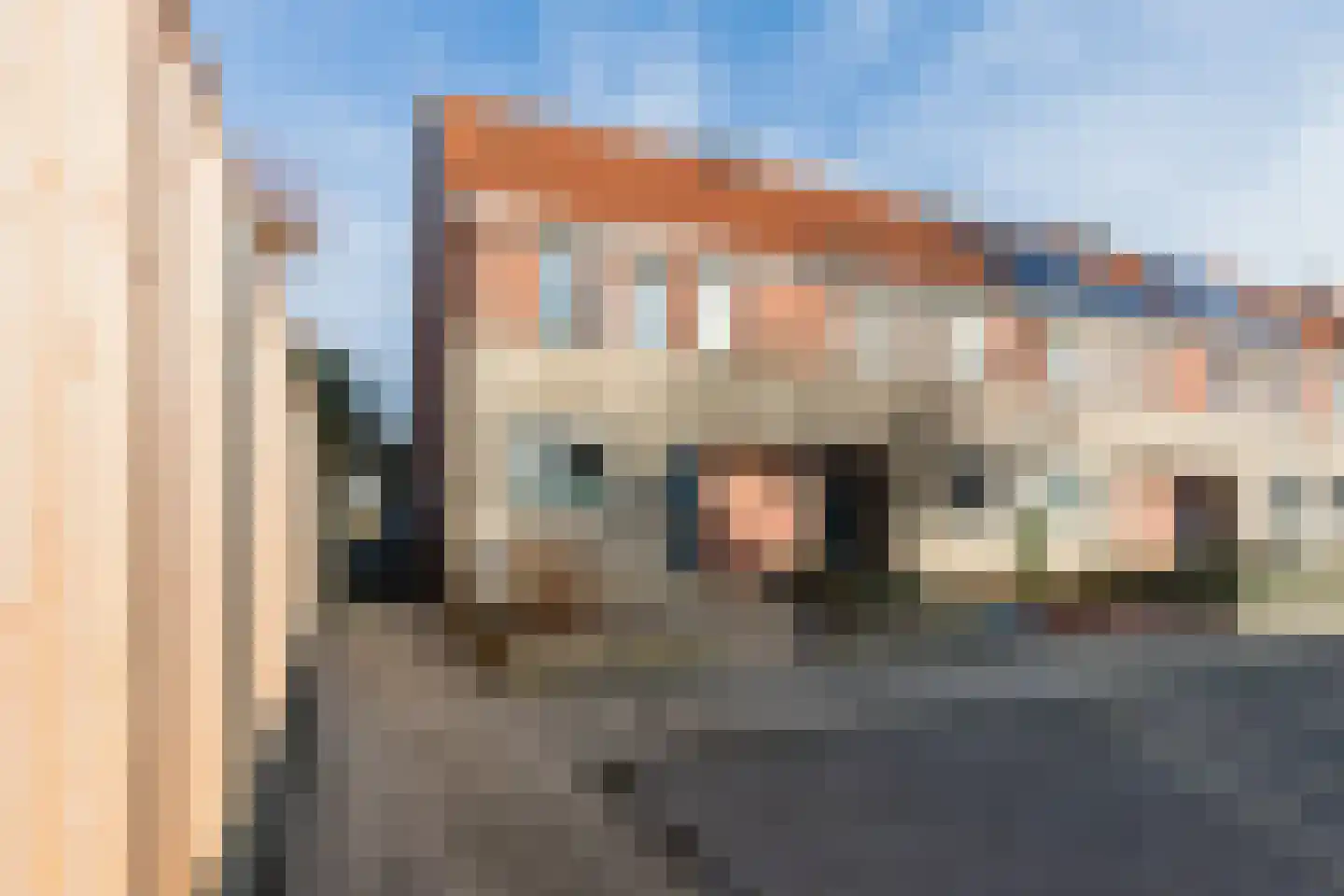 Grauwe Gans 64 Bergen op Zoom thumbnail 6