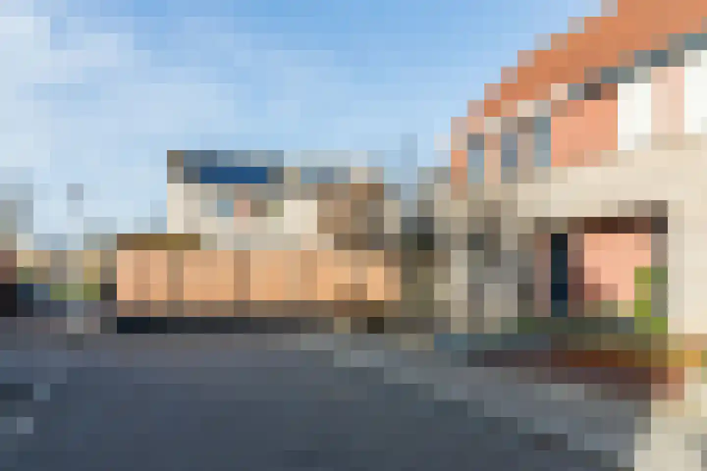 Grauwe Gans 64 Bergen op Zoom thumbnail 8