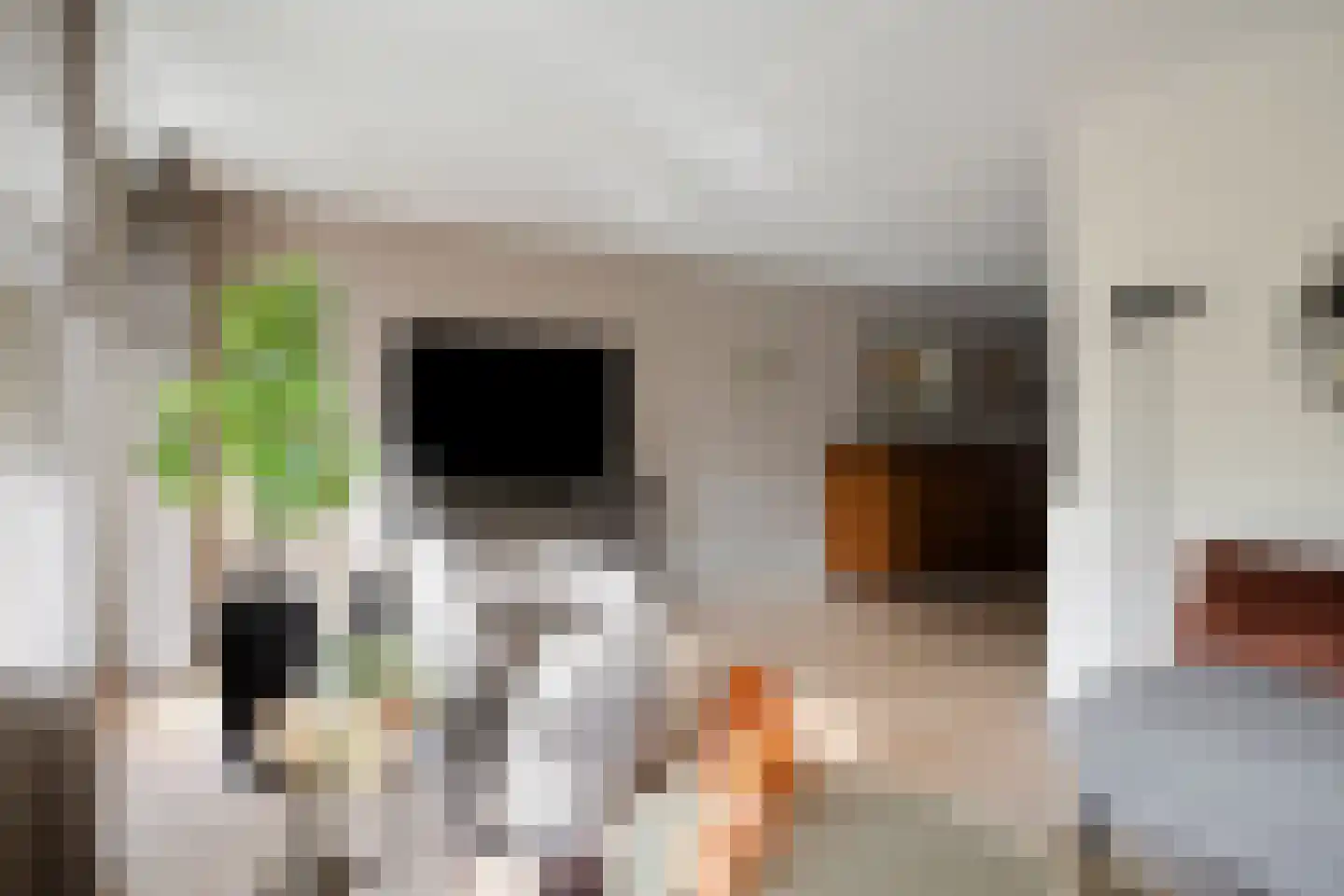 Grauwe Gans 8 Emmen thumbnail 10