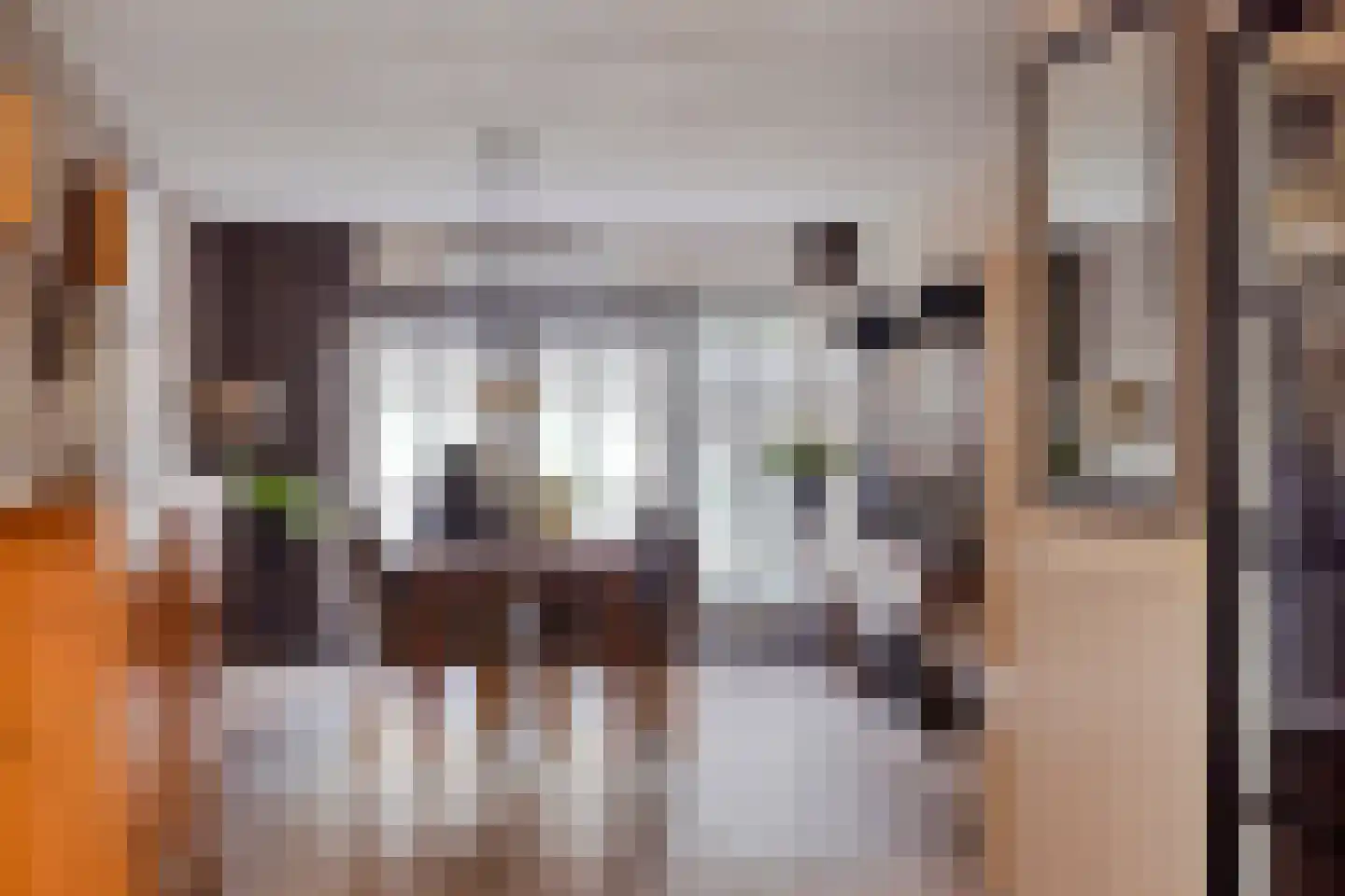 Grauwe Gans 8 Emmen thumbnail 12