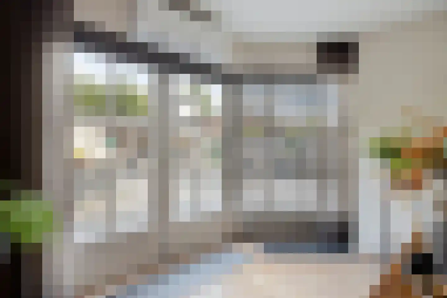 Grauwe Gans 8 Emmen thumbnail 15