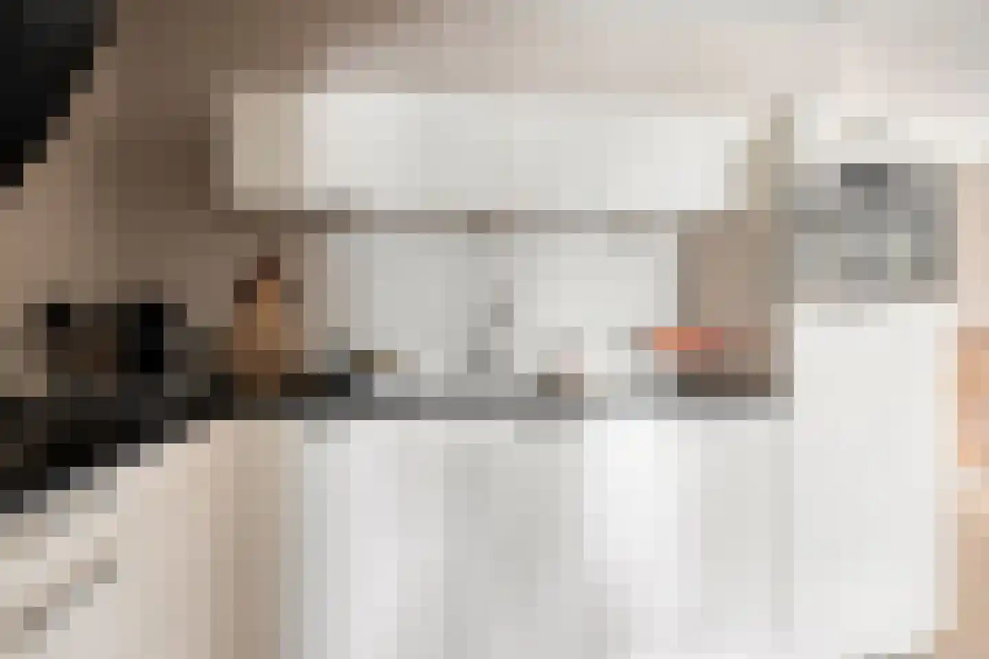 Grauwe Gans 8 Emmen thumbnail 20