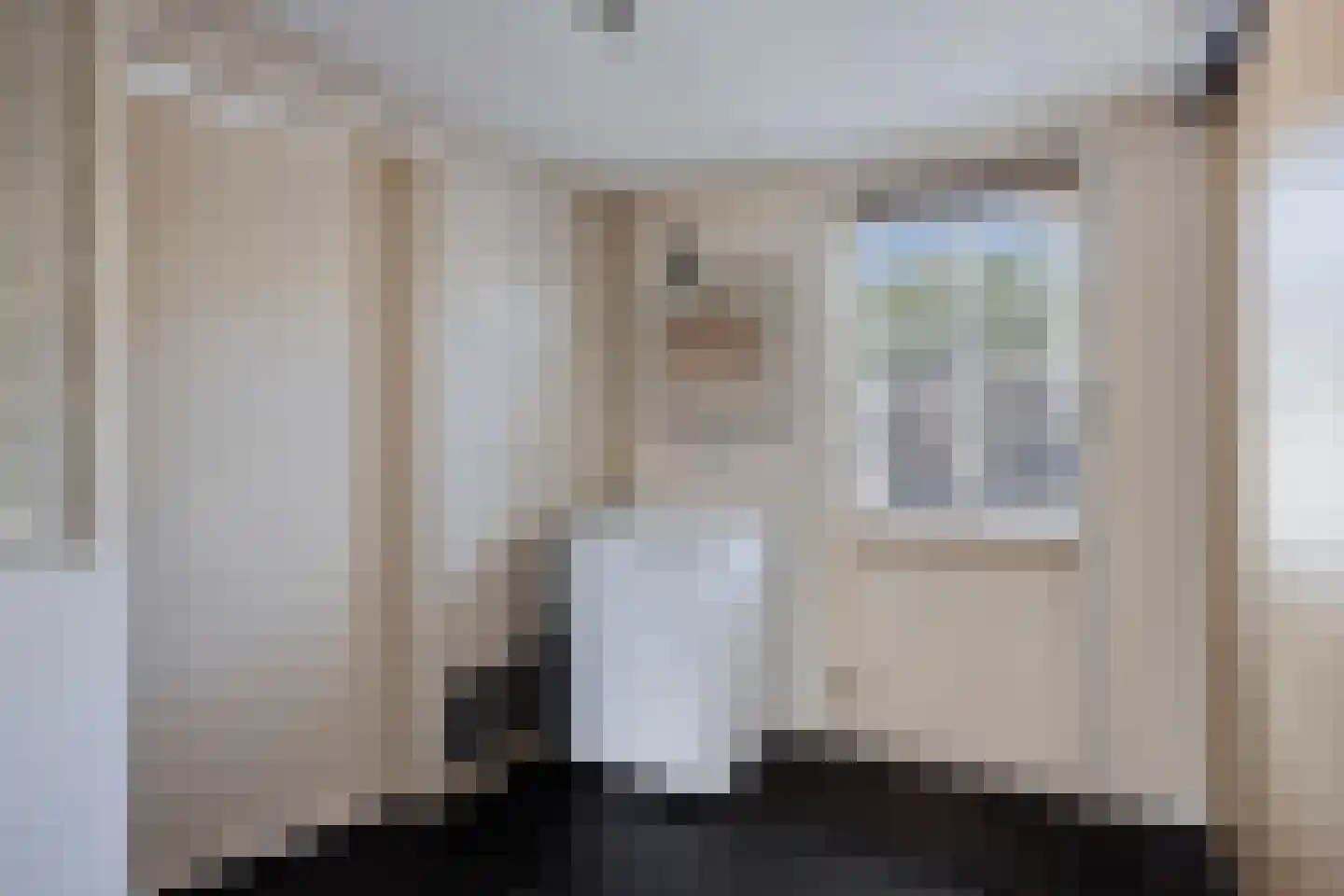 Grauwe Gans 8 Emmen thumbnail 21