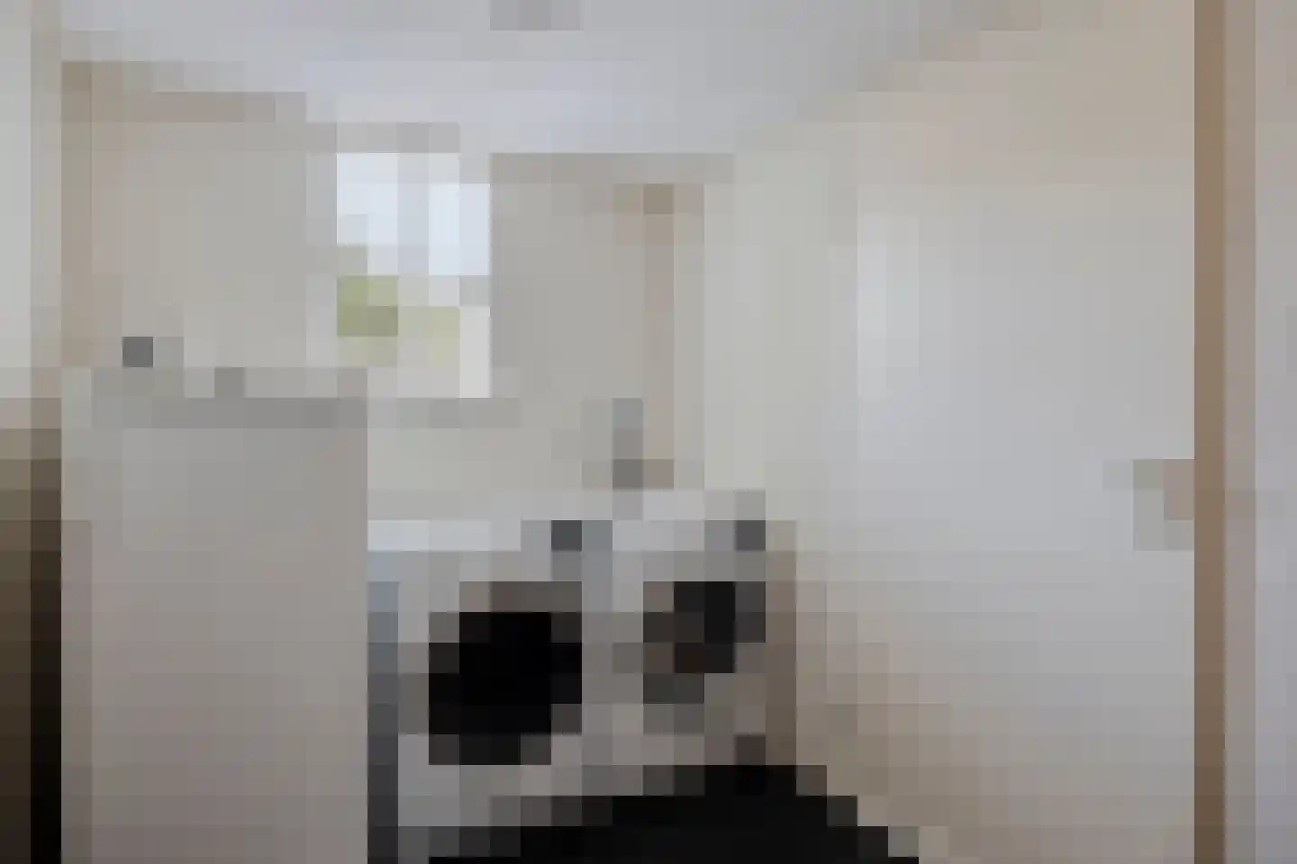 Grauwe Gans 8 Emmen thumbnail 22