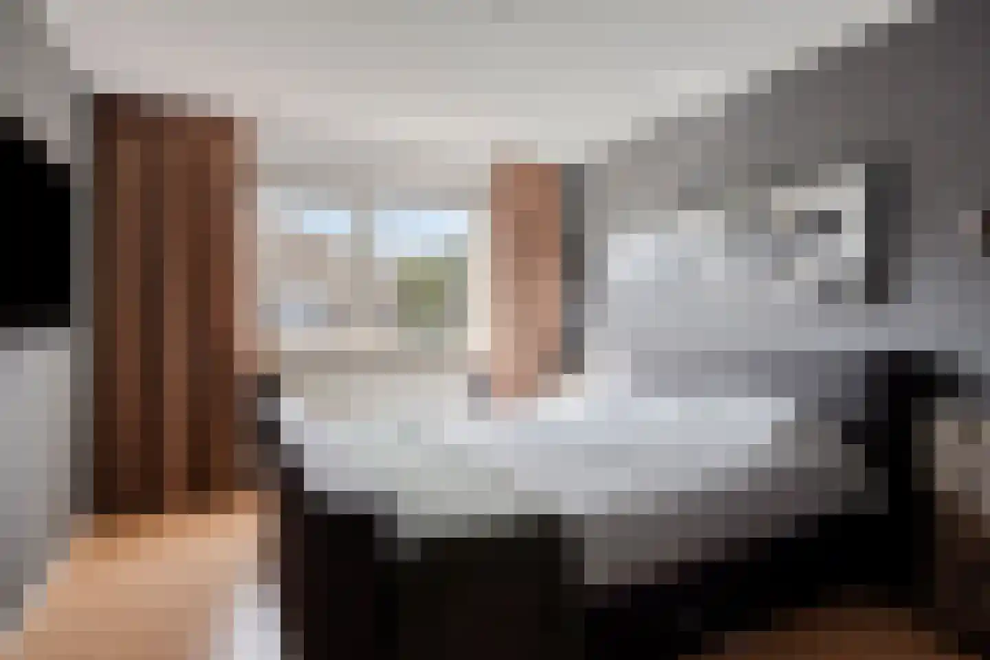 Grauwe Gans 8 Emmen thumbnail 24