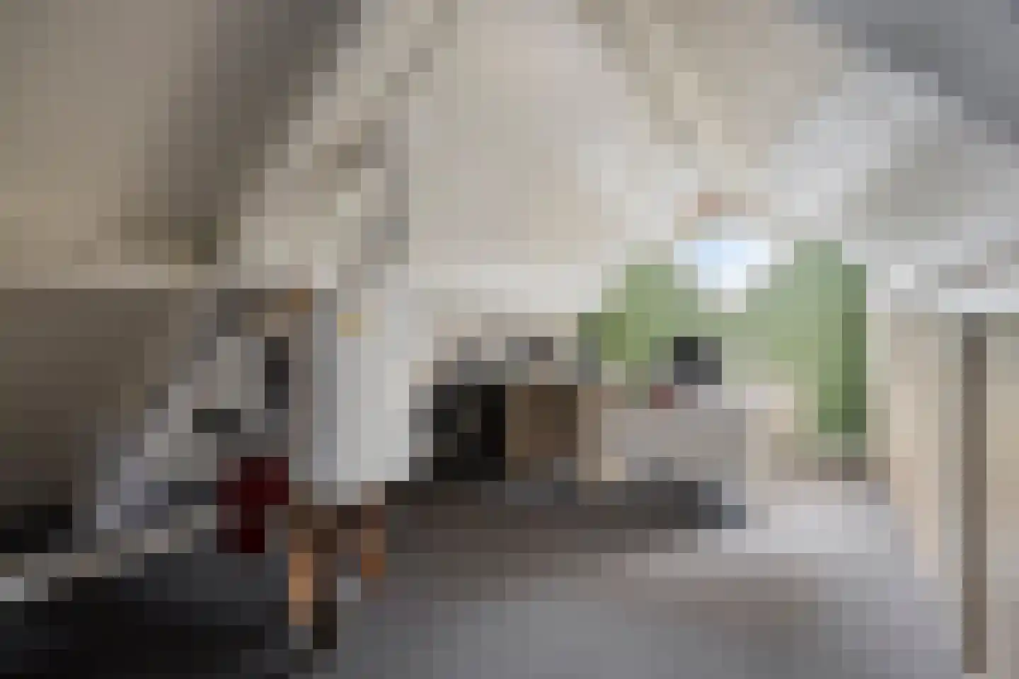 Grauwe Gans 8 Emmen thumbnail 29