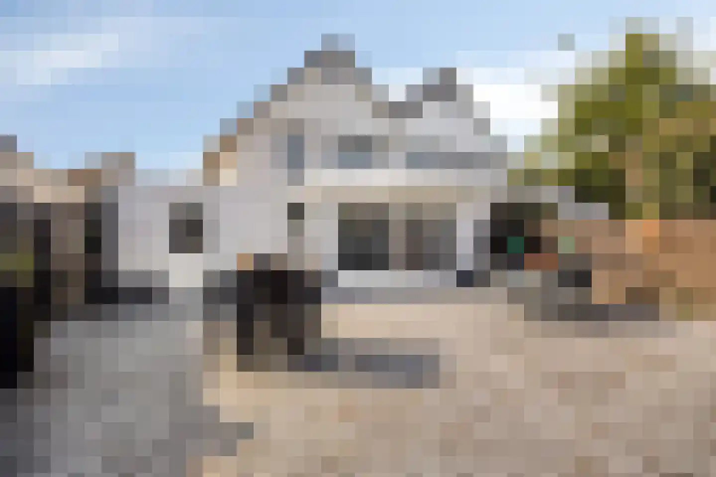 Grauwe Gans 8 Emmen thumbnail 30