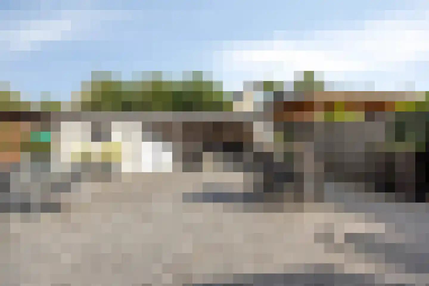 Grauwe Gans 8 Emmen thumbnail 32