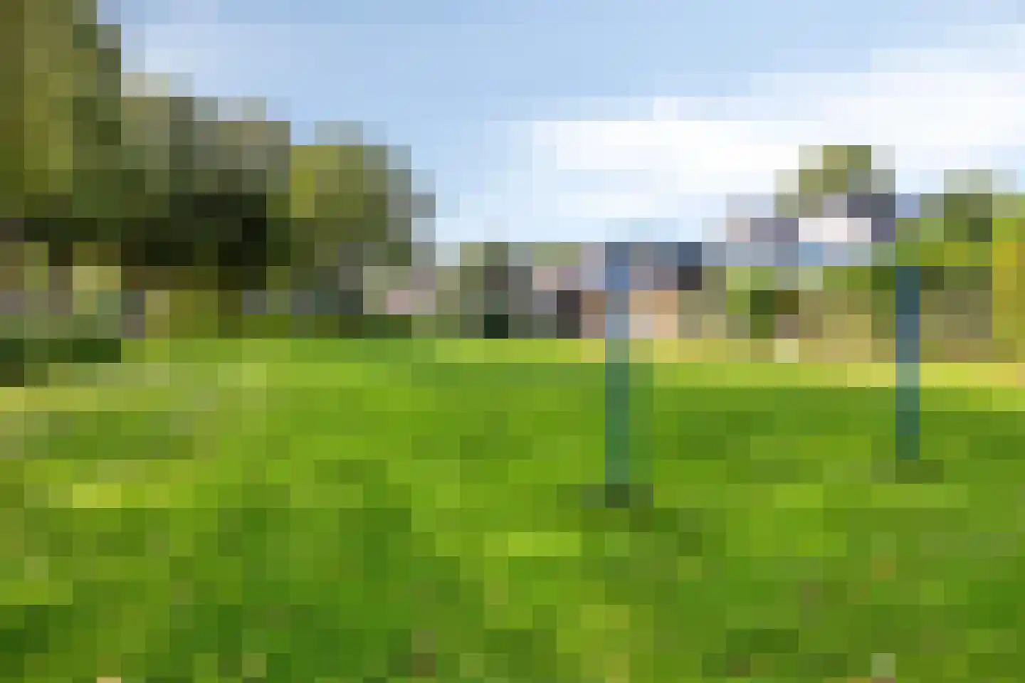 Grauwe Gans 8 Emmen thumbnail 34