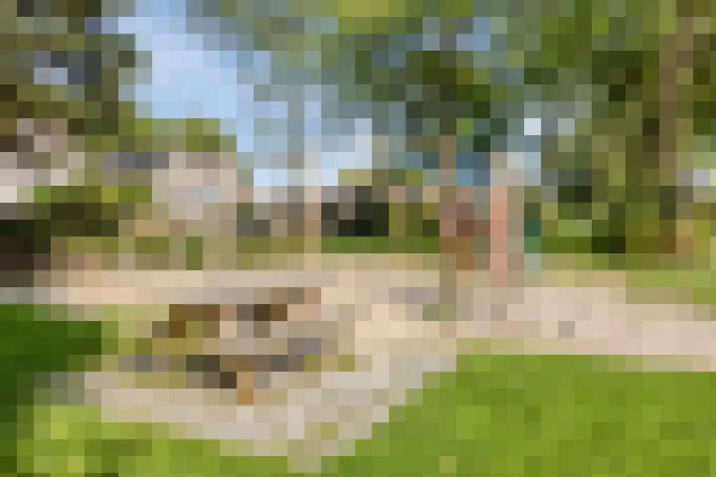 Grauwe Gans 8 Emmen thumbnail 35