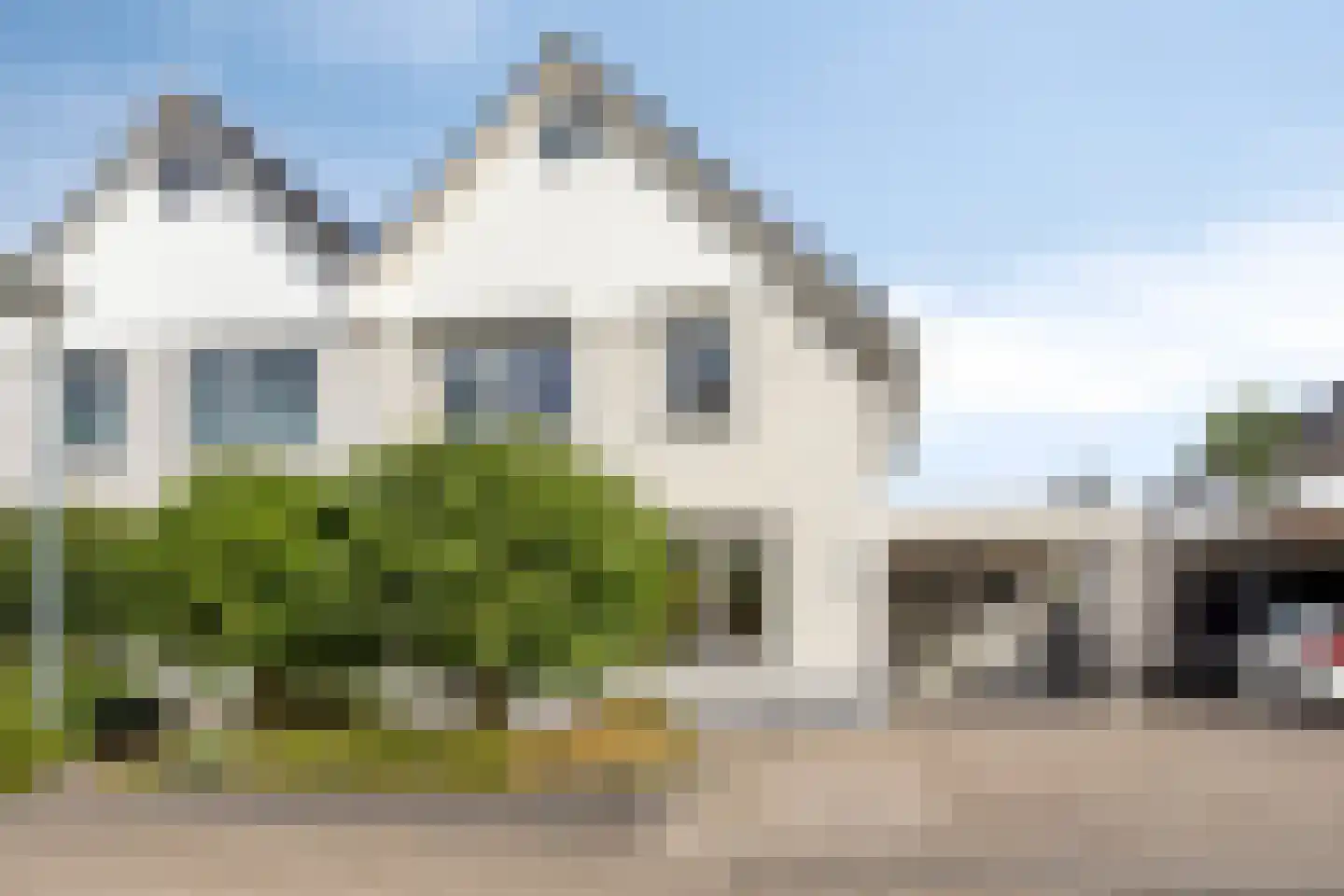 Grauwe Gans 8 Emmen thumbnail 6