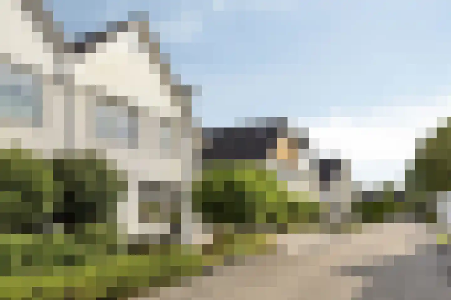 Grauwe Gans 8 Emmen thumbnail 7