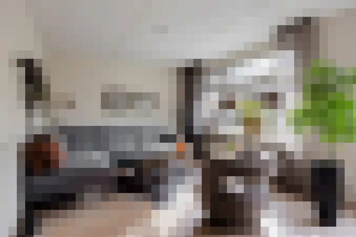 Grauwe Gans 8 Emmen thumbnail 9