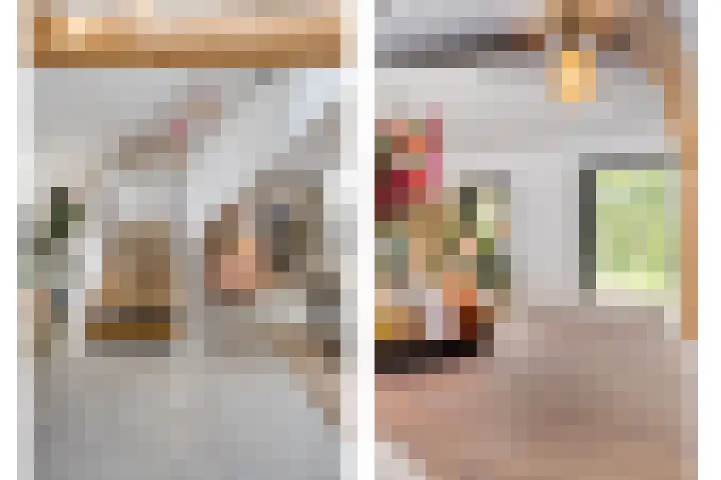 Grauwe Polder 158 Etten-Leur thumbnail 14