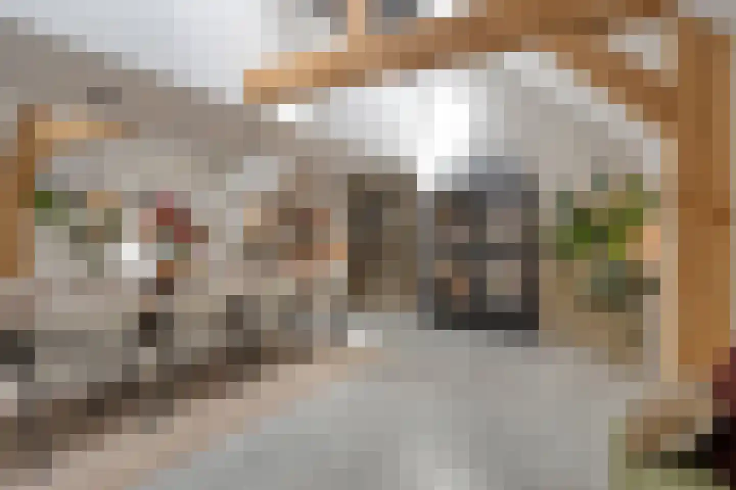 Grauwe Polder 158 Etten-Leur thumbnail 15