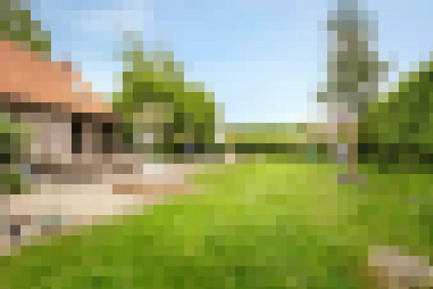 Grauwe Polder 158 Etten-Leur thumbnail 35