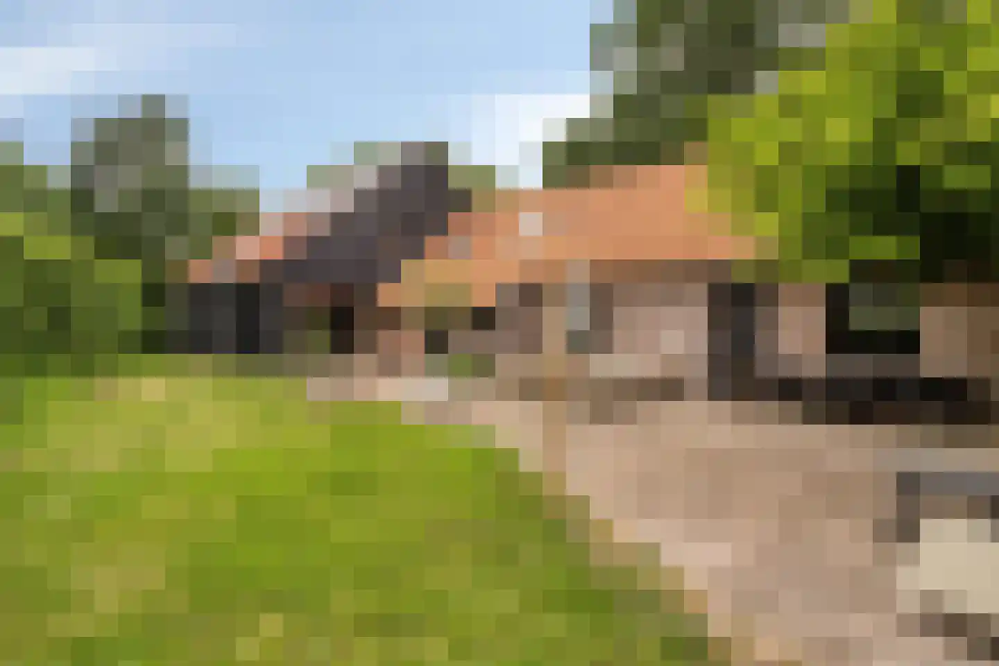 Grauwe Polder 158 Etten-Leur thumbnail 36