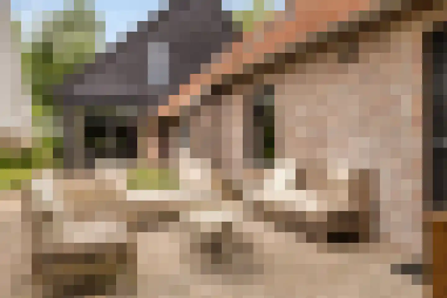 Grauwe Polder 158 Etten-Leur thumbnail 37