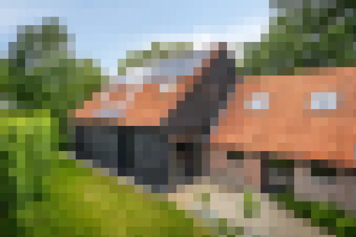 Grauwe Polder 158 Etten-Leur thumbnail 39