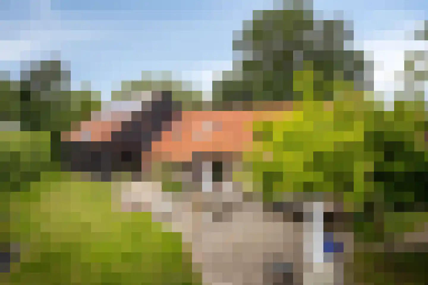 Grauwe Polder 158 Etten-Leur thumbnail 40
