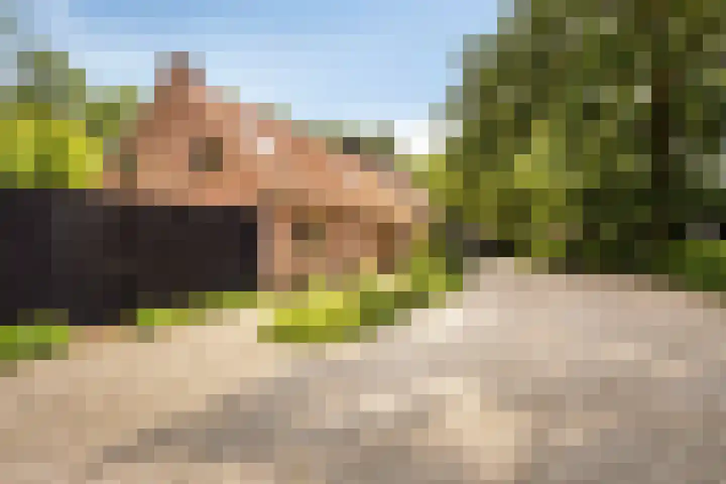 Grauwe Polder 158 Etten-Leur thumbnail 5