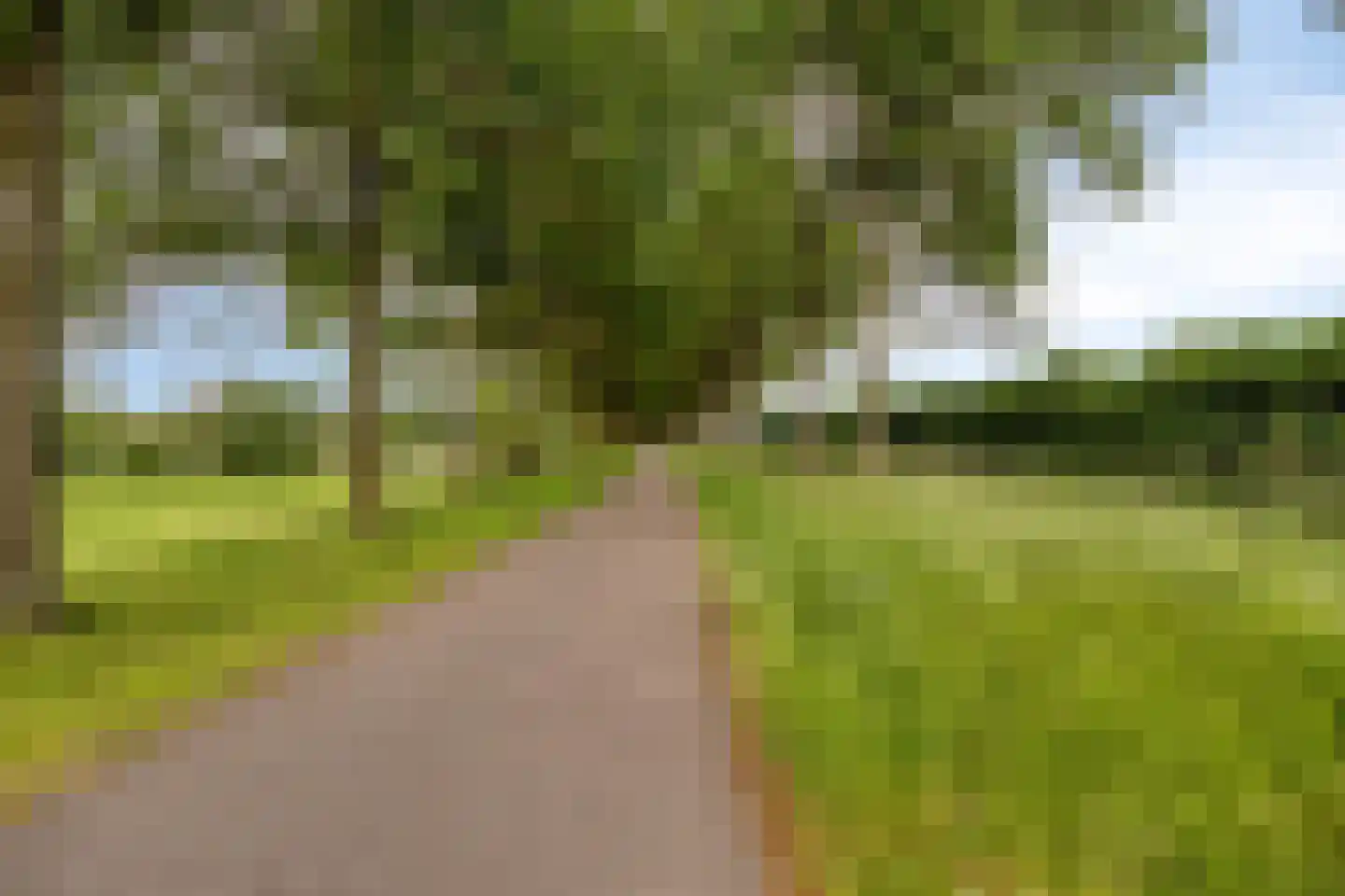 Grauwe Polder 158 Etten-Leur thumbnail 63