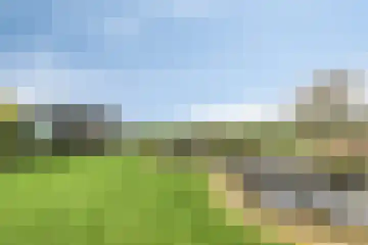 Grauwe Polder 184 Etten-Leur foto 2