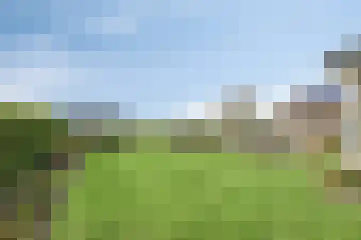 Grauwe Polder 184 Etten-Leur thumbnail 31