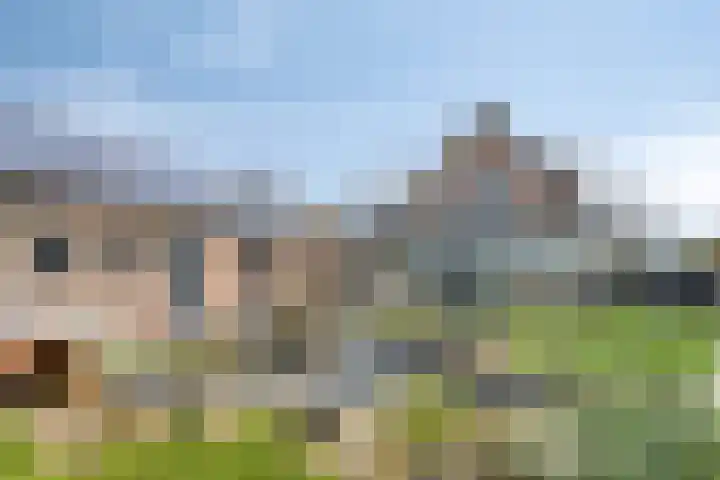 Grauwe Polder 184 Etten-Leur thumbnail 32