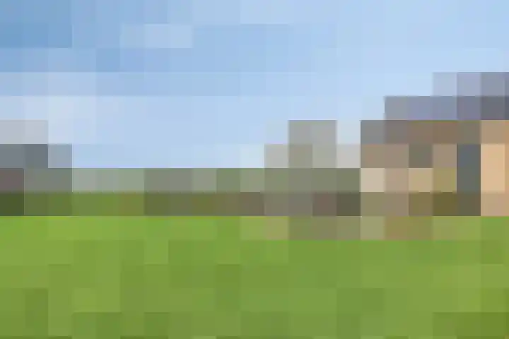 Grauwe Polder 184 Etten-Leur thumbnail 33