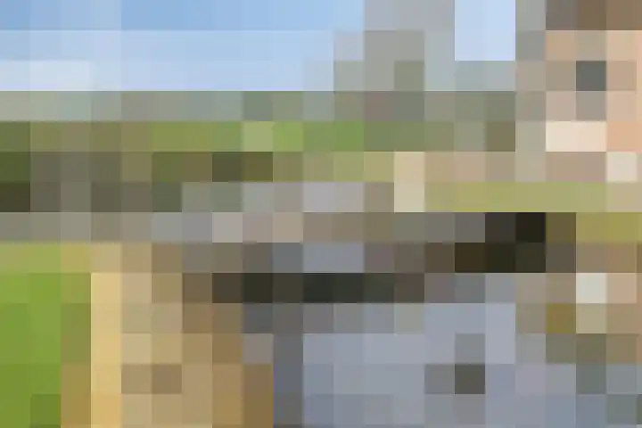 Grauwe Polder 184 Etten-Leur thumbnail 34