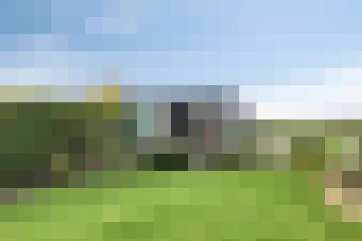 Grauwe Polder 184 Etten-Leur thumbnail 35
