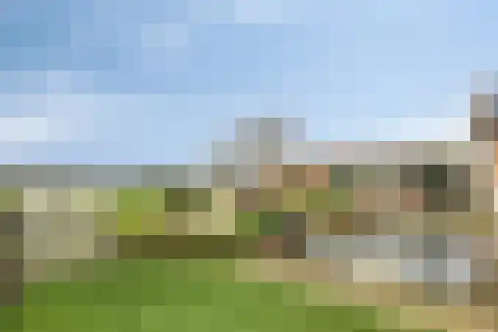 Grauwe Polder 184 Etten-Leur thumbnail 37