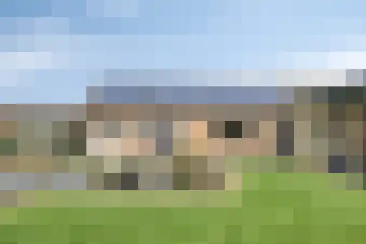 Grauwe Polder 184 Etten-Leur thumbnail 38