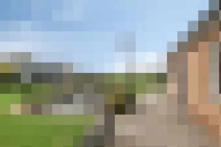 Grauwe Polder 184 Etten-Leur thumbnail 39